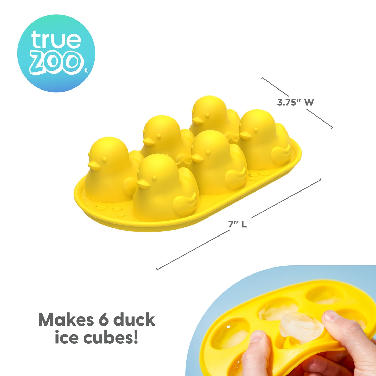 Infographic2